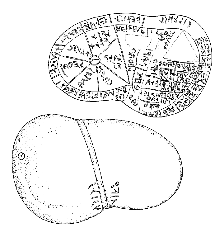 Fegato di piacenza